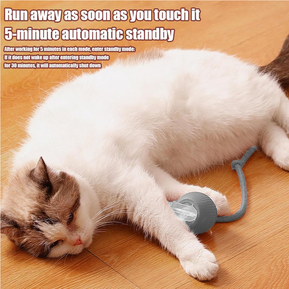 Smart rolling ball cat toy, view 5