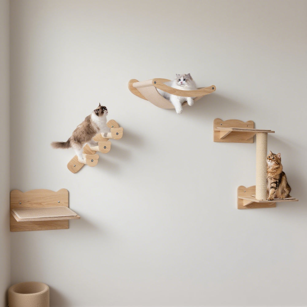 Cat wall shelves set of 4 with hammock, steps and perch mounted on a wall