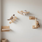 Cat wall shelves set of 4 with hammock, steps and perch mounted on a wall