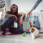 Smart rolling ball cat toy, view 7