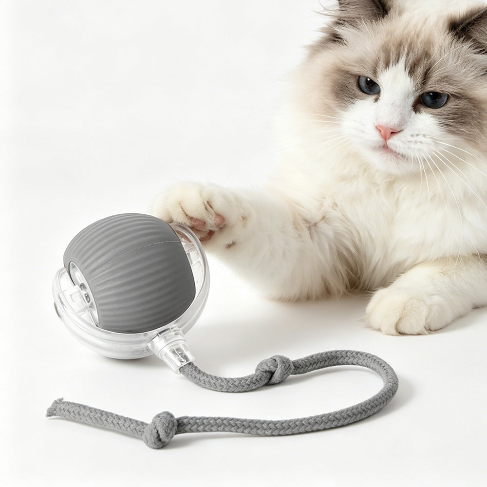 Smart rolling ball cat toy by MewMallow