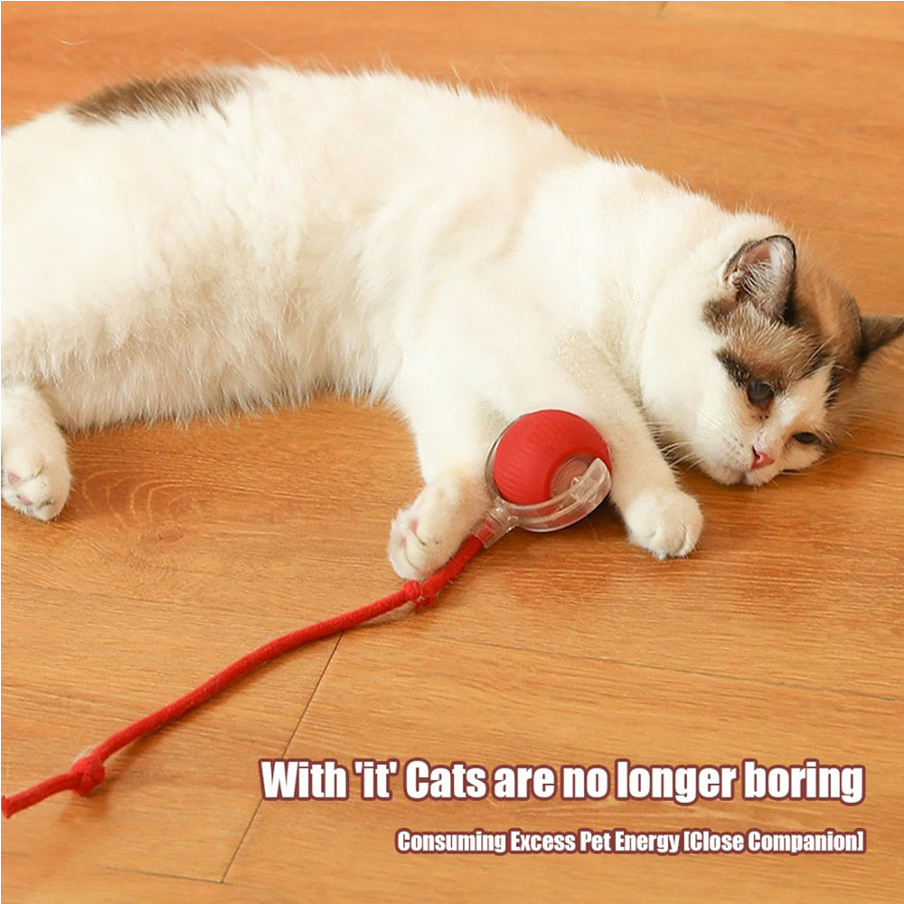 Smart rolling ball cat toy, view 6