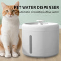Quiet cat water fountain