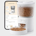 Wi-Fi automatic cat feeder with phone app