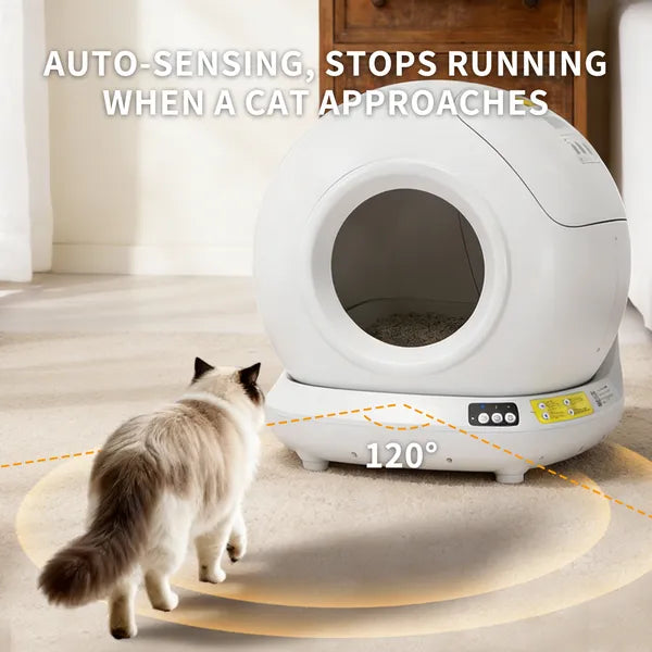 Radar sensing stops cleaning when a cat approaches