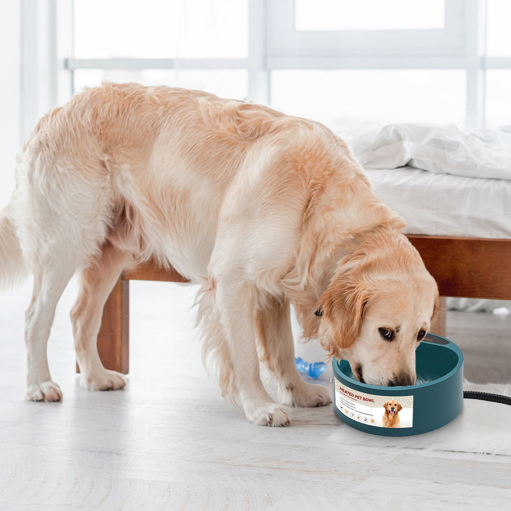 Heated pet water bowl, view 4