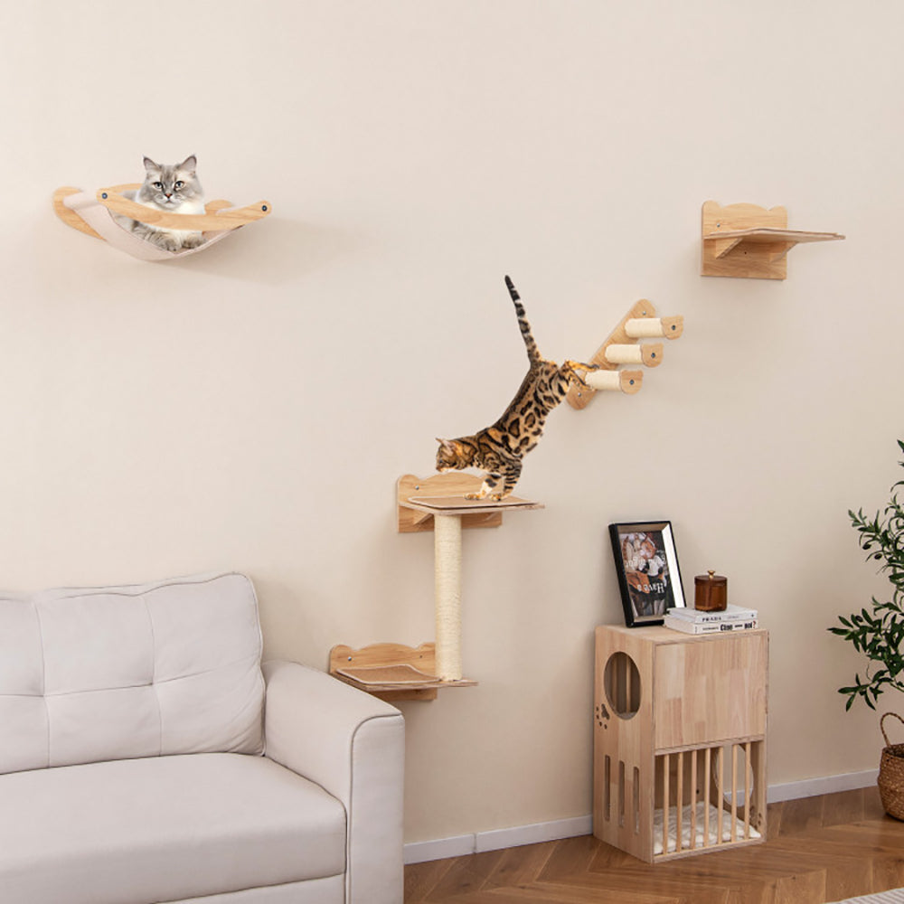 Cat climbing the wall shelves in a living room